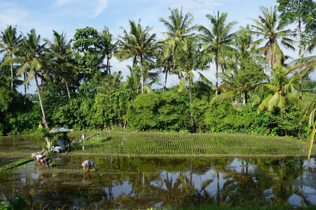 Puri Kobot Hotell Ubud Eksteriør bilde